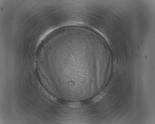 X0000084601363200703091918