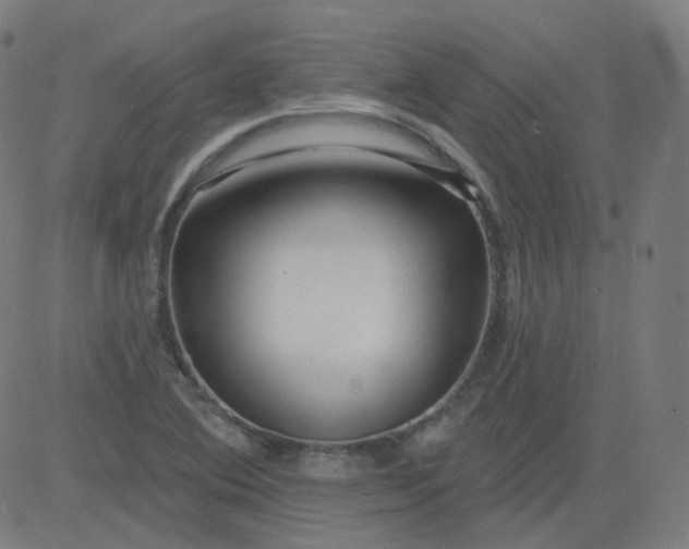 X0000084601364200703091918