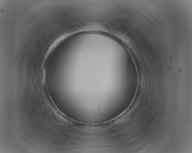 X0000084601366200703091918