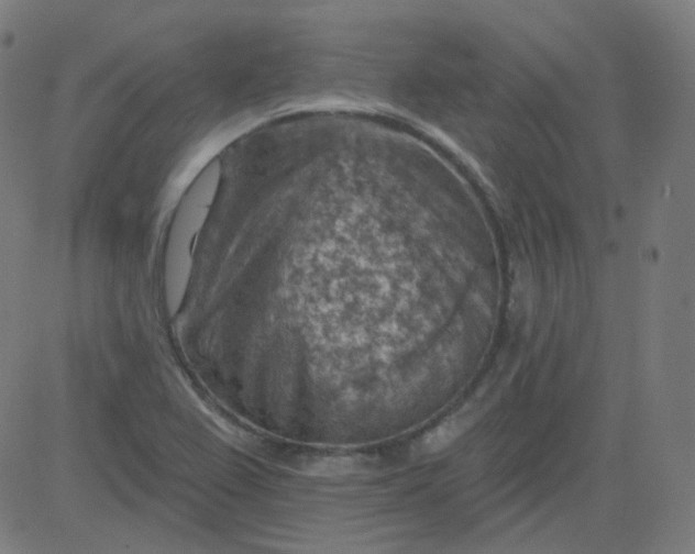 X0000084601367200703091918