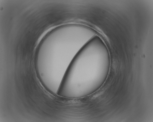 X0000084601368200703091918