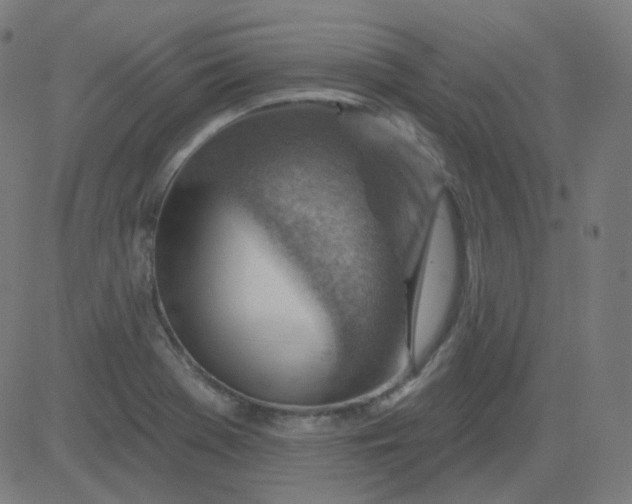 X0000084601369200703091918