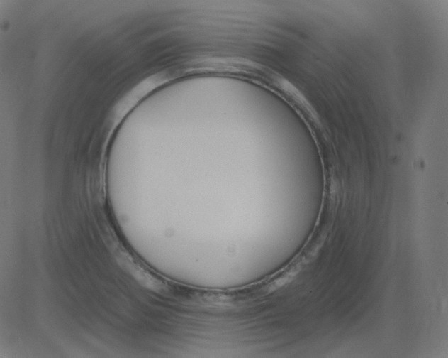 X0000084601370200703091918