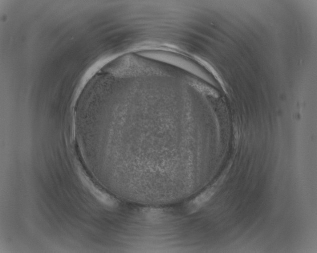 X0000084601371200703091918