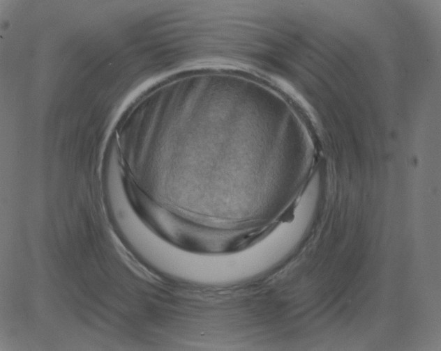 X0000084601372200703091918