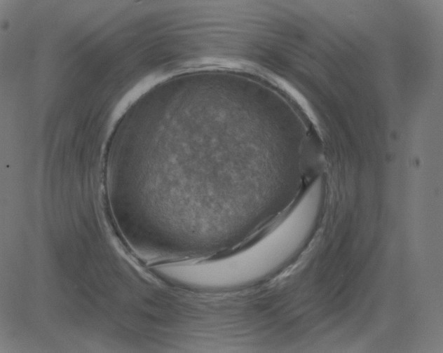 X0000084601373200703091918