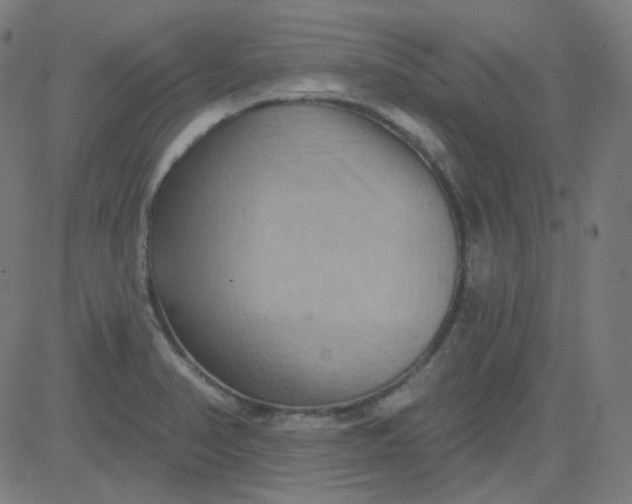 X0000084601374200703091918