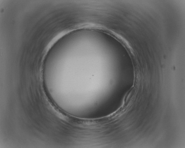 X0000084601375200703091918