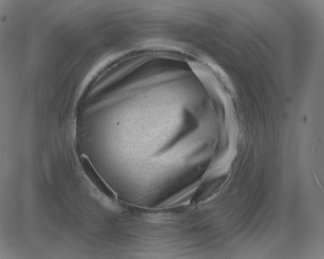 X0000084601376200703091918