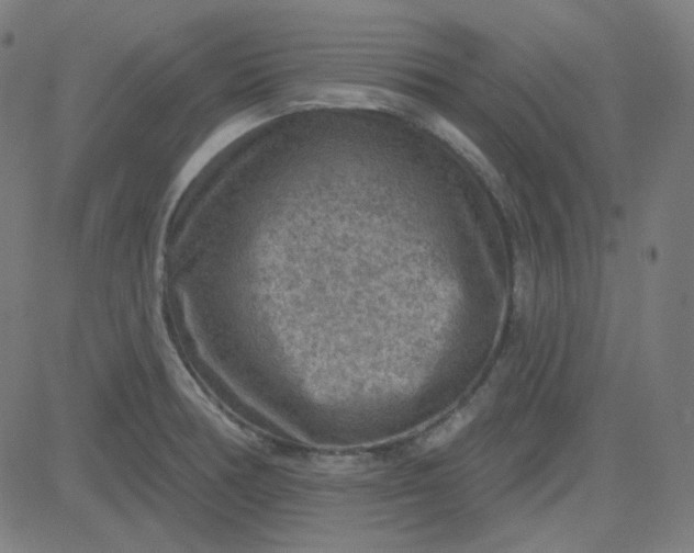 X0000084601378200703091918