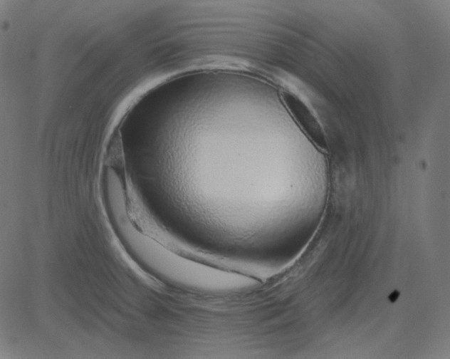 X0000084601379200703091918