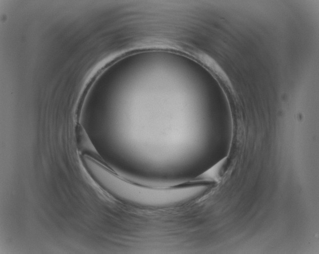 X0000084601380200703091917