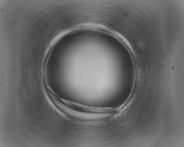 X0000084601381200703091917