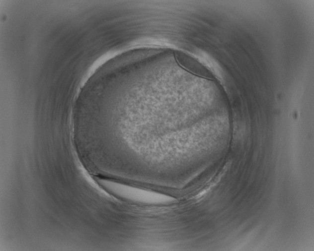 X0000084601382200703091917