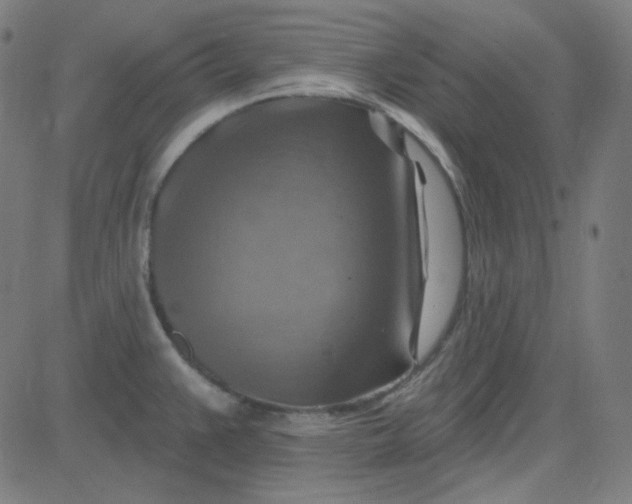 X0000084601383200703091917