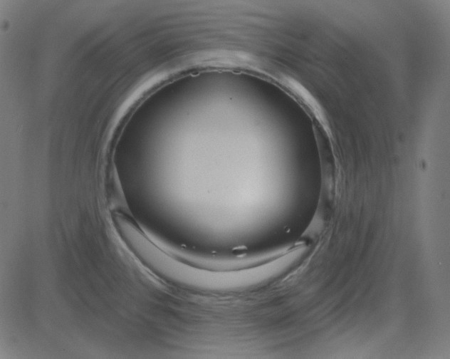 X0000084601384200703091917