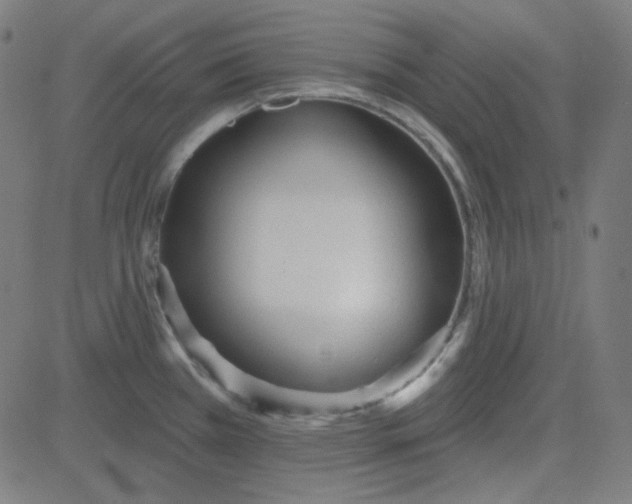 X0000084601385200703091917