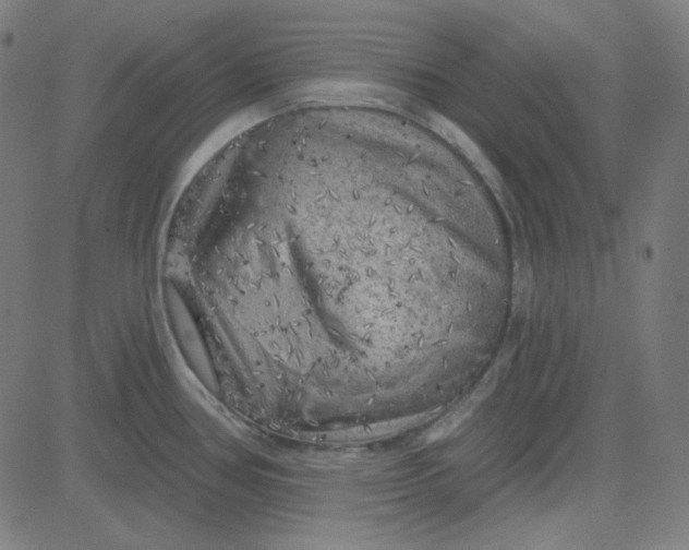 X0000084601386200703091917