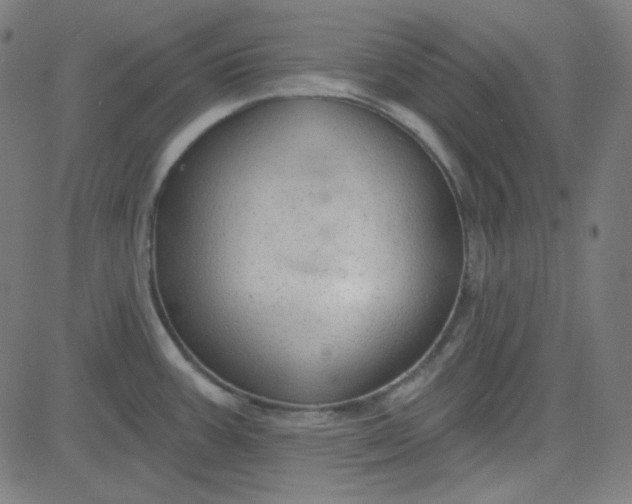 X0000084601387200703091917