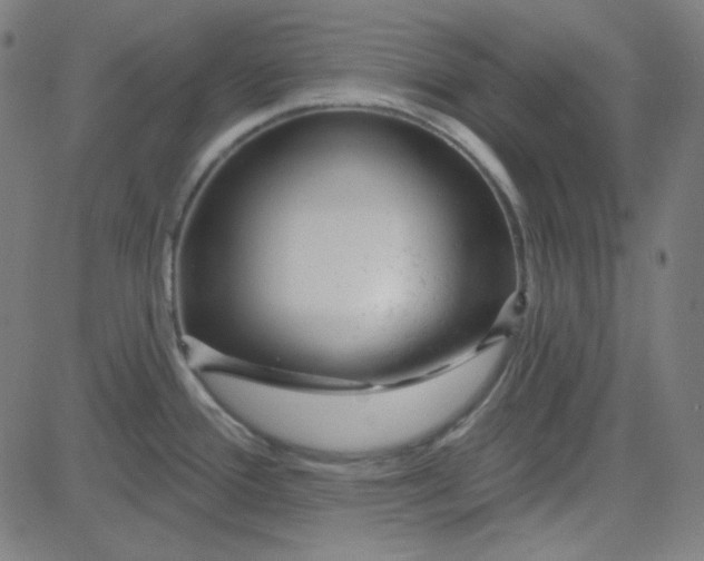 X0000084601388200703091917