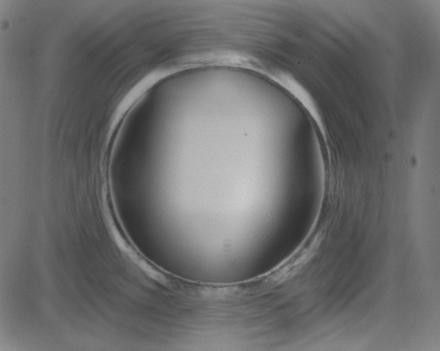 X0000084601389200703091917