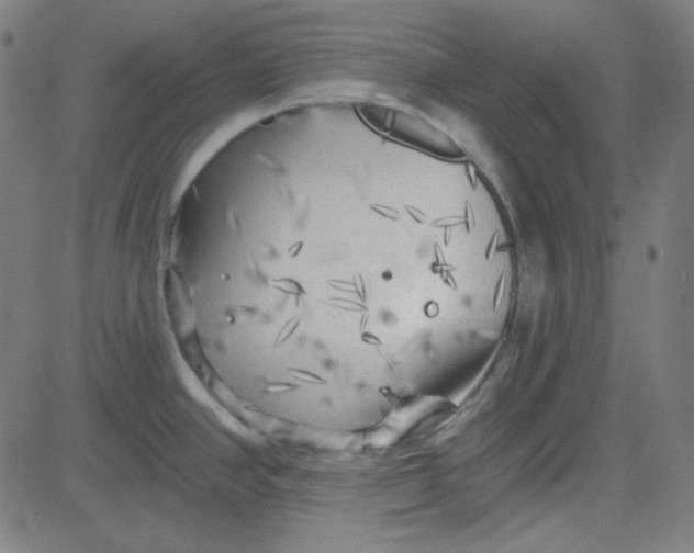 X0000084601390200703091917