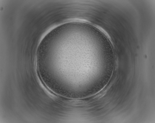 X0000084601391200703091917