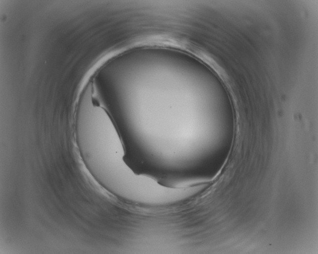 X0000084601392200703091917