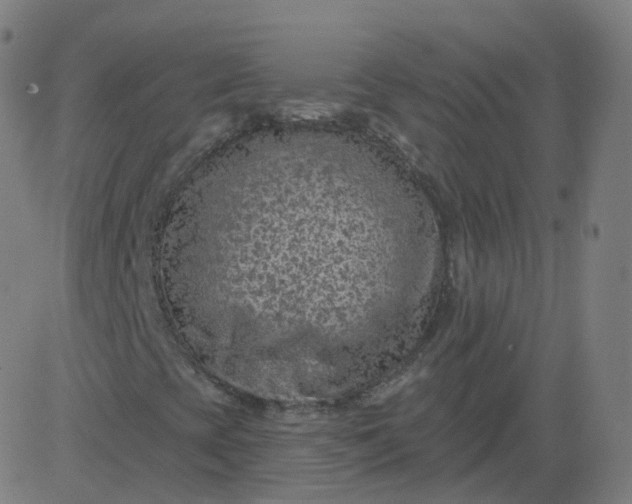 X0000084601393200703091916