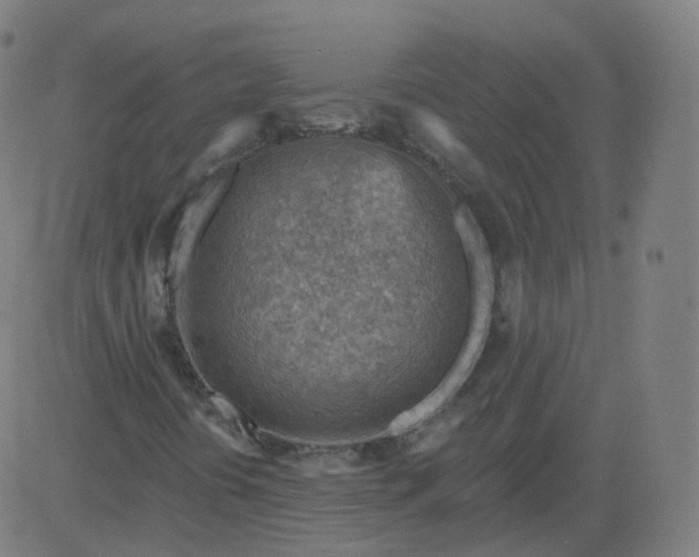 X0000084601394200703091917