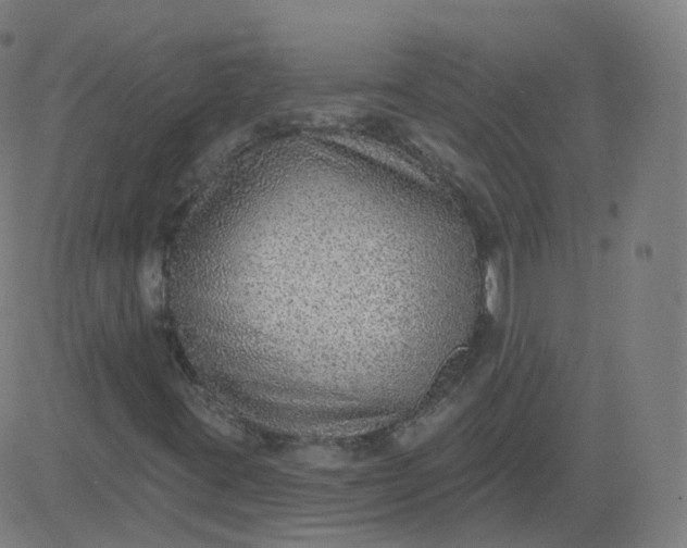 X0000084601395200703091917