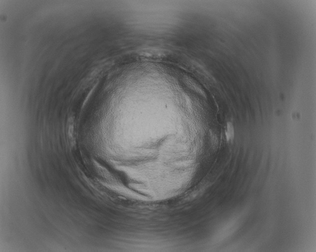 X0000084601396200703091917