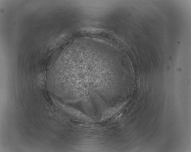 X0000084601397200703091917