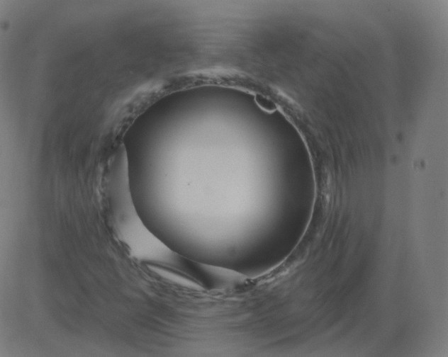 X0000084601398200703091917