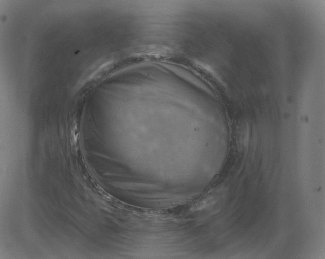 X0000084601399200703091917