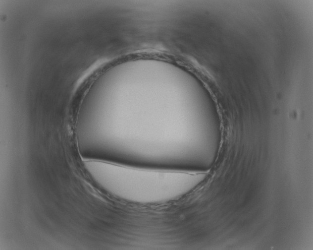 X0000084601400200703091917