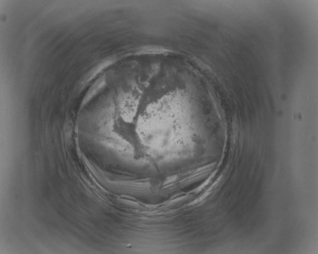 X0000084601401200703091917