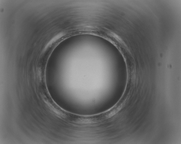 X0000084601402200703091917