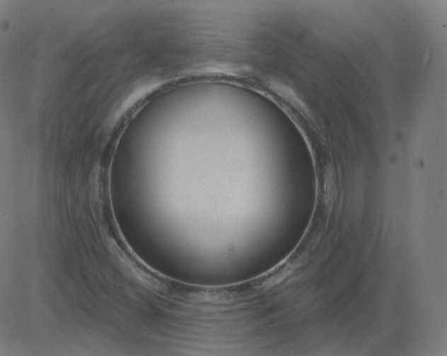 X0000084601404200703091917