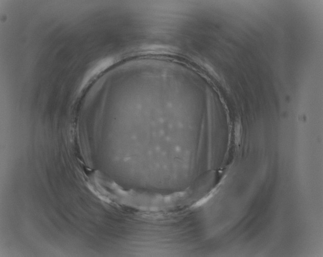 X0000084601405200703091917