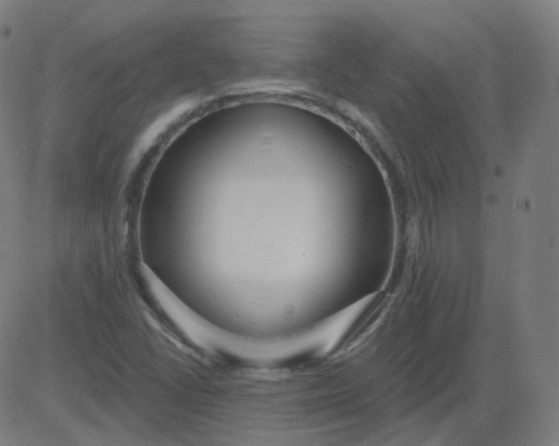 X0000084601406200703091917