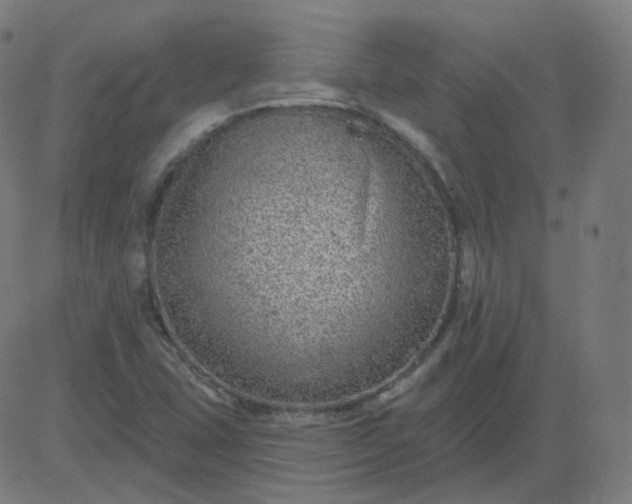 X0000084601407200703091917