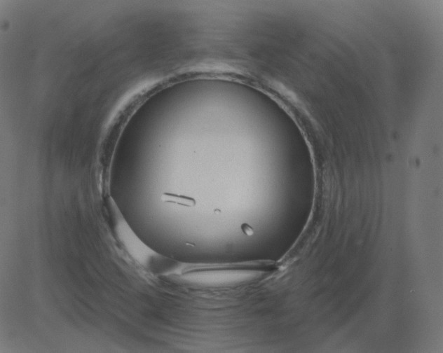 X0000084601408200703091917