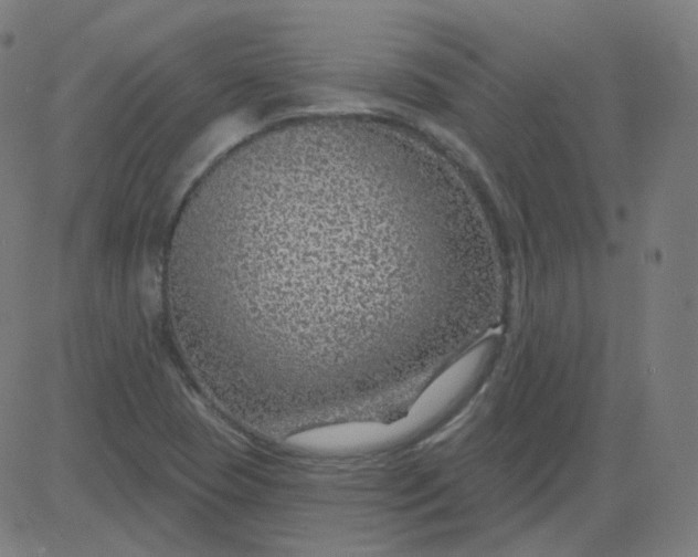 X0000084601409200703091917