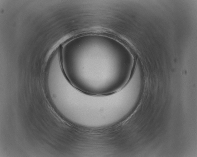 X0000084601410200703091917