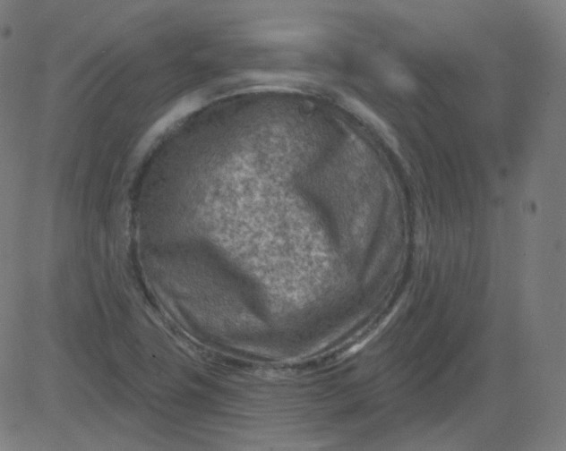 X0000084601411200703091917