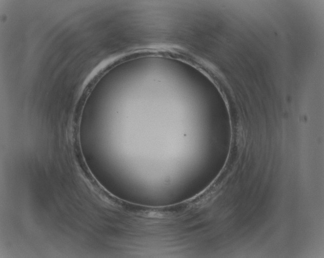 X0000084601412200703091917