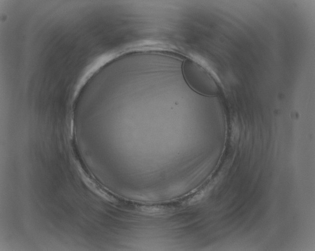 X0000084601413200703091917