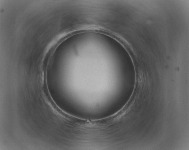 X0000084601414200703091917