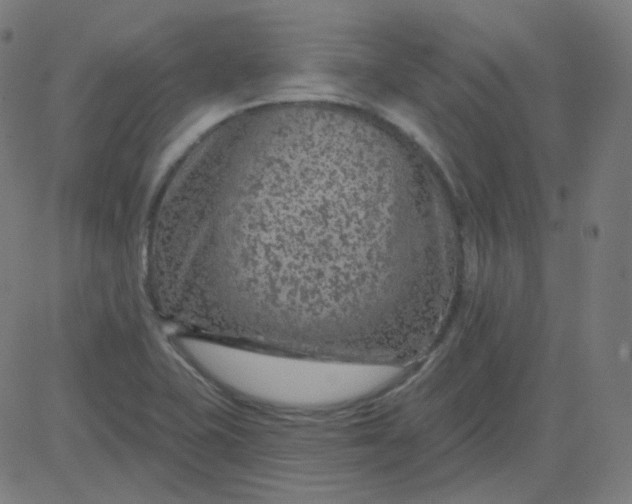 X0000084601415200703091917